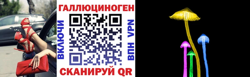 Галлюциногенные грибы Psilocybine cubensis  Муравленко 